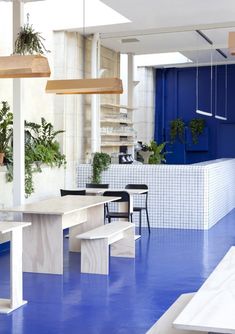 an office with blue flooring and white walls, plants on the desks in the center