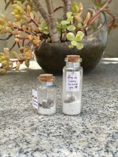 two small glass bottles filled with sand next to a potted plant