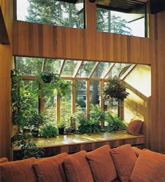 a living room filled with furniture and lots of plants on the windows sill in front of it