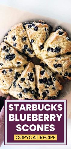 Six baked blueberry scones on a plate. Blueberry Scones Recipe Easy, Starbucks Scones, Lemon Glaze Recipe, Best Scone Recipe, Blueberry Desserts Recipes, Blueberry Lemon Scones, Breakfast Scones, Blueberry Scones Recipe, Scones Recipe Easy