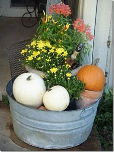 a bucket filled with lots of different types of flowers and pumpkins on top of it