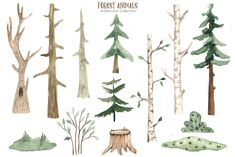 watercolor trees and plants are featured in this illustration, which is part of the forest animals series