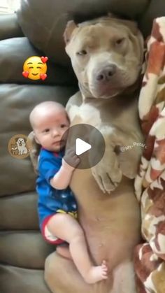 the baby is holding on to the large dog's back while he looks at it