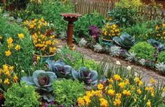 a garden filled with lots of different types of flowers