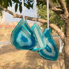 two pieces of glass hanging from a tree