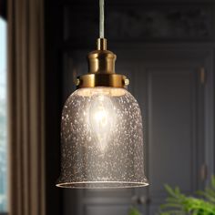 a glass light hanging from a ceiling in a room with a potted plant on the side