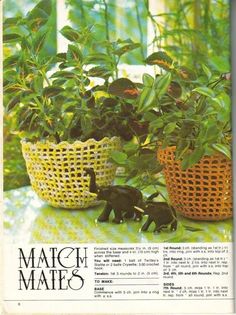 an article in the magazine about plants and their uses for crafts is shown with small plastic animals