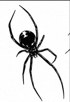 two black and white images of spider's