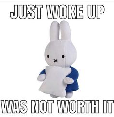 a stuffed rabbit holding a pillow that says, just woke up was not worth it