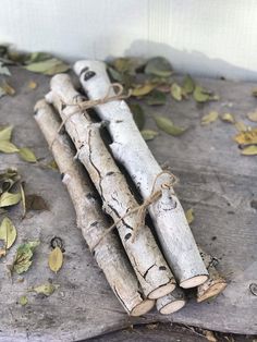 two pieces of driftwood tied together with twine and leaves on the ground next to it