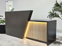 a black cabinet with wooden slats and lights on the side, next to a potted plant