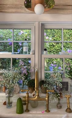 the kitchen sink is covered with flowers and plants