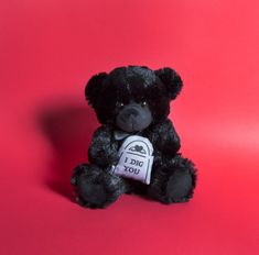 a black teddy bear sitting on top of a red background