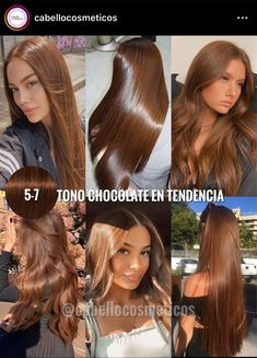 Fudge Hair Colour, Light Brown Chestnut Hair, Best Hair Color For Light Olive Skin, Hair Colour For Asian Skin, Cinnamon Brown Hair Colors, Blonde Chocolate Hair, Chocolate Brown Hair On Tan Skin, Filipina Hair Color, Mix Hair Color Ideas