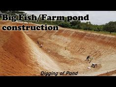 some people are digging in the dirt near a big fish / farm pond construction sign