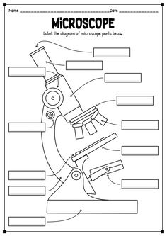 the microscope worksheet is shown in black and white, with labels on it