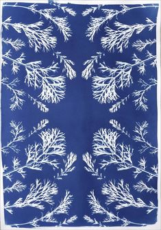 a blue background with white branches and snow flakes in the center, as well as an intricate design