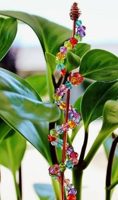 a plant with many colorful beads on it