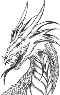 a black and white drawing of a dragon with its head turned to the right side