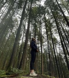 a woman standing in the middle of a forest looking up at tall trees and ferns