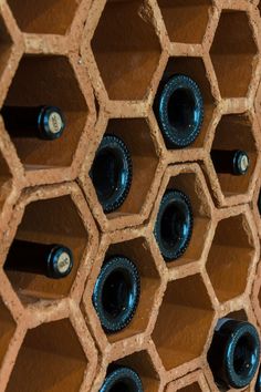 the wine bottles are lined up on the wall in the cellars, which also have holes for them