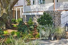 a house that has some plants in front of it and a tree near the entrance