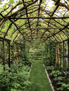 the inside of a garden with lots of plants