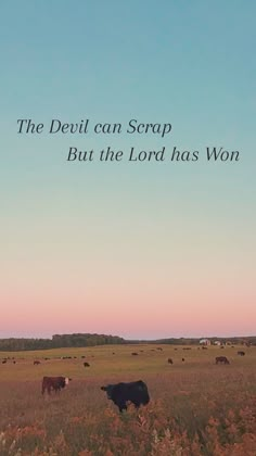 cows grazing in a field with the words, the devil can scrap but the lord has won