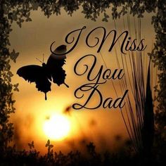 the words i miss you dad are in front of an image of a sunset with a butterfly