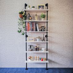 a bookshelf with plants and pictures on it in a room that has blue carpet