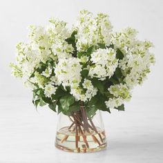 a vase filled with white flowers on top of a table