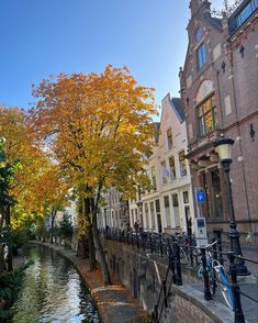 bicycles are parked along the side of a canal in front of buildings and trees with yellow leaves on them