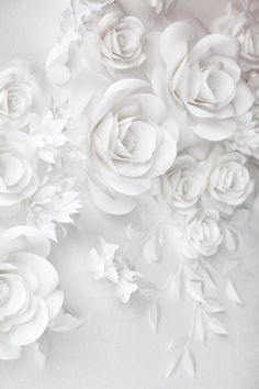 white paper flowers are arranged on the wall in this artistic photo, which looks like they have been made out of paper