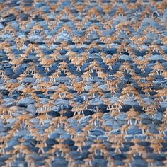 a close up view of a blue and brown rug with small holes in the middle