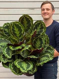 a man is holding a large potted plant in front of a white wall and smiling at the camera