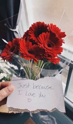 a person holding a bouquet of red flowers in front of a sign that says just because i love you