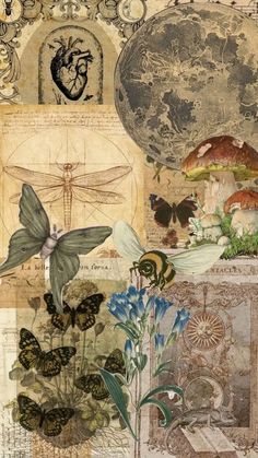 an artistic collage with butterflies, flowers and other things on it's surface