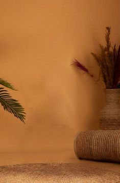 a plant in a vase sitting on a table next to a rug and other items