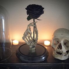 two skulls and a rose in a glass dome on a table next to lit candles