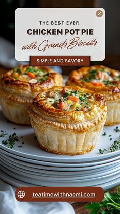 the best ever chicken pot pie with gravy and savory on top