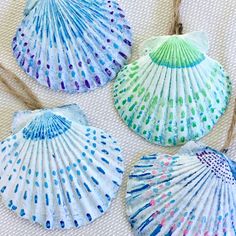 three seashells are hanging from twine on a white surface with blue and green dots