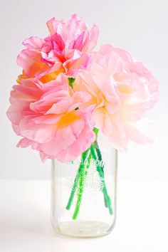 two pink flowers are in a glass vase