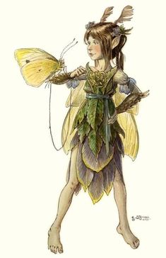 a drawing of a fairy holding a butterfly