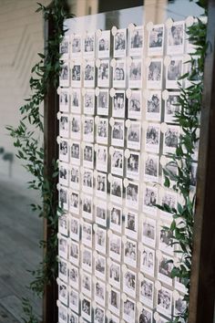 a wall with pictures and greenery hanging on it's sides in front of a building