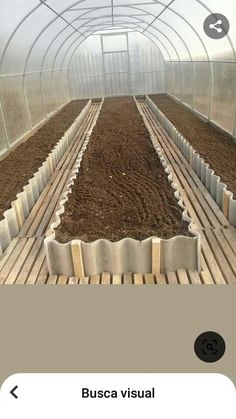 a greenhouse with several rows of plants growing in the ground and on top of each other