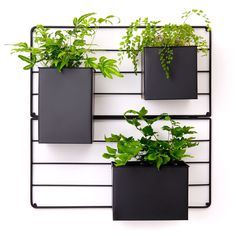 three black metal planters with green plants in them on a white wall mounted shelf