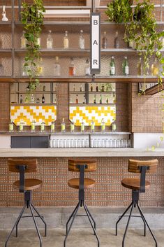 three bar stools sit in front of a counter with bottles and plants on it