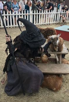 a man dressed as a witch sitting on top of a wooden bench next to animals