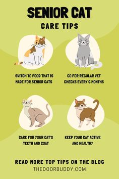 an info sheet describing the benefits of cat care