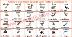 animals and their sounds with pictures